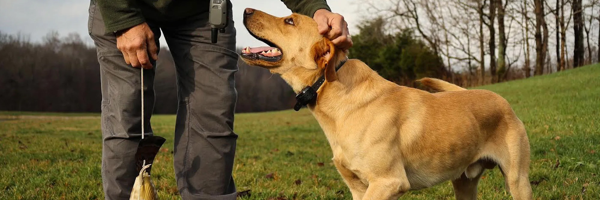 Huisdierbenodigdheden Korting -Huisdierbenodigdheden Korting 1