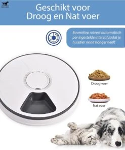PetFriends Automatische Voerbak Voor Hond En Kat - Incl. Batterijen - Voerautomaat Met 6 Compartimenten - 24 Uurs Timer - Elektrische Voederbak -Huisdierbenodigdheden Korting 1005x1200 2