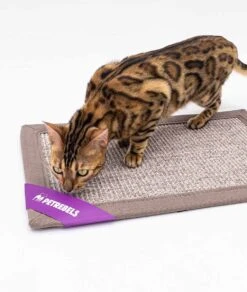 Petrebels Mastermat 60 Katten Krabmat - Cappuccino - 60 X 40 Cm - Zeer Sterk 20 Petrebels Mastermat 60 Katten Krabmat - Cappuccino - 60 X 40 Cm - Zeer Sterk -Huisdierbenodigdheden Korting 1015x1200 2