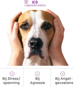 K9 Laboratories Kalmte & Balans - Hond - 60 Stuks - Bij Stress, Angst En Agressie - Ashwagandha - L-tryptofaan - Passiebloem - Valeriaanwortel - Lavendel -Huisdierbenodigdheden Korting 1023x1200 2