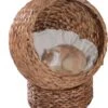 PawHut Kattenmand Rotan Kattennest Kattenbed Met Kussen Huisdierbed Bruin D30-104 1 PawHut Kattenmand Rotan Kattennest Kattenbed Met Kussen Huisdierbed Bruin D30-104 -Huisdierbenodigdheden Korting 1031x1200 11