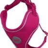 DDOXX Hondenharnas, Reflecterend, Verstelbaar, Breakaway | Borstharnas Voor Klein, Middelgroot | Hondenharnas Hond Kat Puppy Auto | Kattenharnas Puppy Harnas | Roze Roze, S -Huisdierbenodigdheden Korting 1032x1200 1