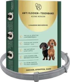 2 Stuks Vlooienband Kleine Hond Tekenband - 100% Natuurlijk Veilig En Waterbestendig