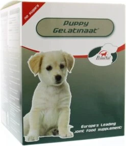 Primeval Artrose Gelatinaat Puppy - 350 Gr -Huisdierbenodigdheden Korting 1033x1200 3