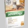 Advantage 40 Vlooiendruppels Kat Tot 4 Kg - 4 Pipetten