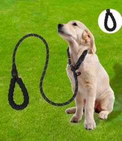 Nixnix - Honden Riem - 1,7cm - Zwart - 1,2cm Dik - Sliplijn - Nylon - Hondenriem - Verstelbaar - Jachtlijn Met Stop - Leiband -Huisdierbenodigdheden Korting 1042x1200