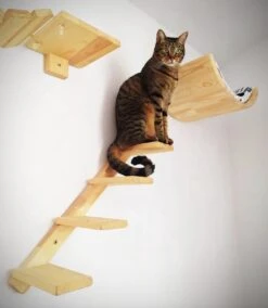 Kattentrap Hout - Linksonder Naar Rechtsboven - Handgemaakte Kattenladder - Katten Klimmuur Klimwand -Huisdierbenodigdheden Korting 1045x1200 4