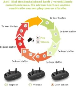 Doggie™ Anti Blafband - Diervriendelijk - GEEN Schok - Anti Blafband - Hondenhalsband -Huisdierbenodigdheden Korting 1048x1200