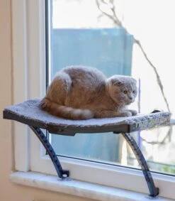 Hobipets - Kattenmand Raam - 5 Zuignappen - Hangmat Kat Raam -Huisdierbenodigdheden Korting 1049x1200 10