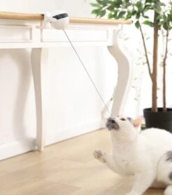 Merkloos Kattenspeelgoed - Katten Speelgoed - Katten Speeltje - Katten Bal - Katten - Kattenhengel - Kitten Speelgoed - Kattenspeeltjes - Elektrische - Muis - Automatische Hengel - Bal - Poes - Katten - Prooi - Kat - Poesjes - Interactief Kattenspeelgoed -Huisdierbenodigdheden Korting 1053x1200 10