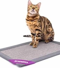 Petrebels Mastermat 60 Katten Krabmat - Grijs - 60 X 40 Cm - Zeer Sterk -Huisdierbenodigdheden Korting 1053x1200 14