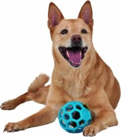 JW HOL-EE ROLLER – Hondenbal Rubber – 15 Cm - Large - 1 Stuk -Huisdierbenodigdheden Korting 1053x1200 6