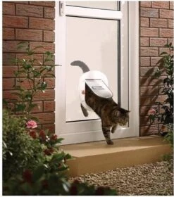 Petsafe 200 Kattenluik - Wit - L - 29,4 X 29,5 X 5 Cm -Huisdierbenodigdheden Korting 1058x1200 5