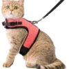 Kattentuigje Met Leiband Riem Kattenharnas Roze Maat S Kat & Kitten - Dieren Kattenriem - Cat Leash - Halsomvang 15 Tot 20cm - Borstomvang 25 Tot 30cm - Zootic® -Huisdierbenodigdheden Korting 1065x1200 5