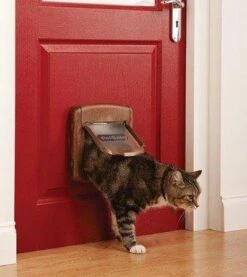 Petsafe Kattenluik 400 - Wit -Huisdierbenodigdheden Korting 1069x1200 7