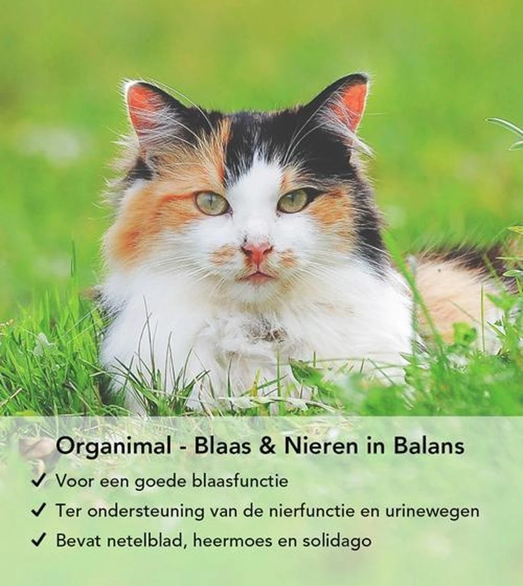 Organimal - Blaas En Nieren In Balans - Kat - O.a. Bij Blaasontsteking En Blaasgruis - 45 Tabletten A 700mg 5 Organimal - Blaas En Nieren In Balans - Kat - O.a. Bij Blaasontsteking En Blaasgruis - 45 Tabletten A 700mg - Image 3