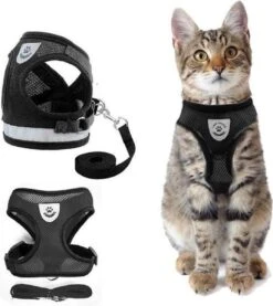 Merkloos Kattentuigje Met Looplijn | Zwart Kattenharnas| Easy Step In | Kattenriem | Kattenlijn | Kattentuig | Maat M 7 Merkloos Kattentuigje Met Looplijn | Zwart Kattenharnas| Easy Step In | Kattenriem | Kattenlijn | Kattentuig | Maat M -Huisdierbenodigdheden Korting 1071x1200 9