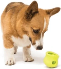 West Paw Toppl Zogoflex - Uitdagend En Sterk Speelgoed Voor Honden - Slowfeeder - Vulbaar Met Voer Of Snacks - Kleur: Groen, Maat: Large 39 West Paw Toppl Zogoflex - Uitdagend En Sterk Speelgoed Voor Honden - Slowfeeder - Vulbaar Met Voer Of Snacks - Kleur: Groen, Maat: Large -Huisdierbenodigdheden Korting 1075x1200 13