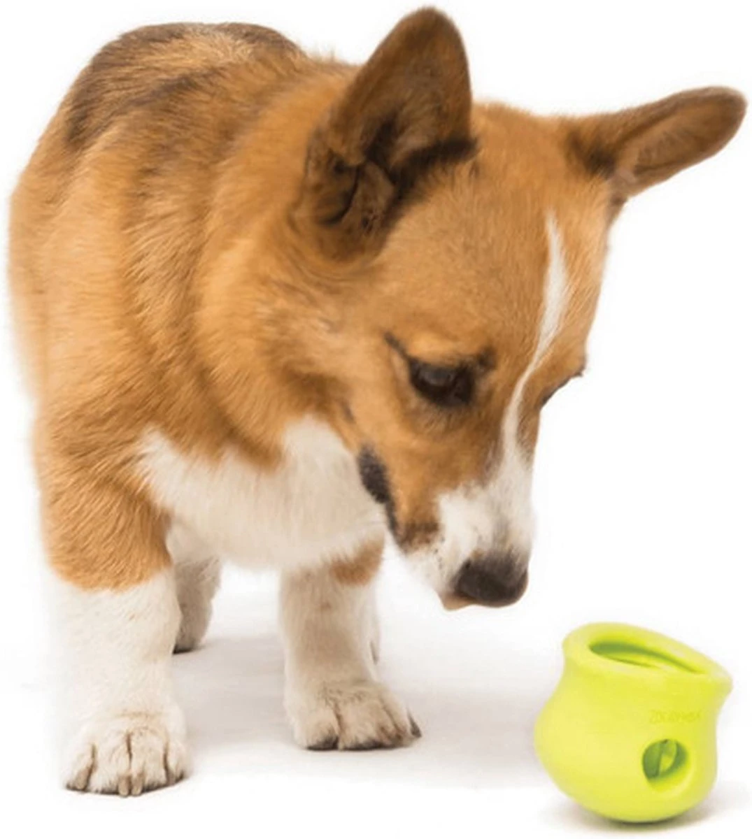 West Paw Toppl Zogoflex - Uitdagend En Sterk Speelgoed Voor Honden - Slowfeeder - Vulbaar Met Voer Of Snacks - Kleur: Groen, Maat: Large 21 West Paw Toppl Zogoflex - Uitdagend En Sterk Speelgoed Voor Honden - Slowfeeder - Vulbaar Met Voer Of Snacks - Kleur: Groen, Maat: Large - Image 19