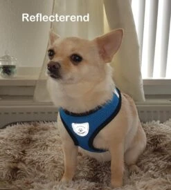 Luxyana® Honden Tuigje - XS - 25-28cm - Geschikt Voor Puppy En Als Kattentuigje - Easy Step-in Hondenharnas - Inclusief Bijpassend Riempje - Zwart 20 Luxyana® Honden Tuigje - XS - 25-28cm - Geschikt Voor Puppy En Als Kattentuigje - Easy Step-in Hondenharnas - Inclusief Bijpassend Riempje - Zwart -Huisdierbenodigdheden Korting 1076x1200