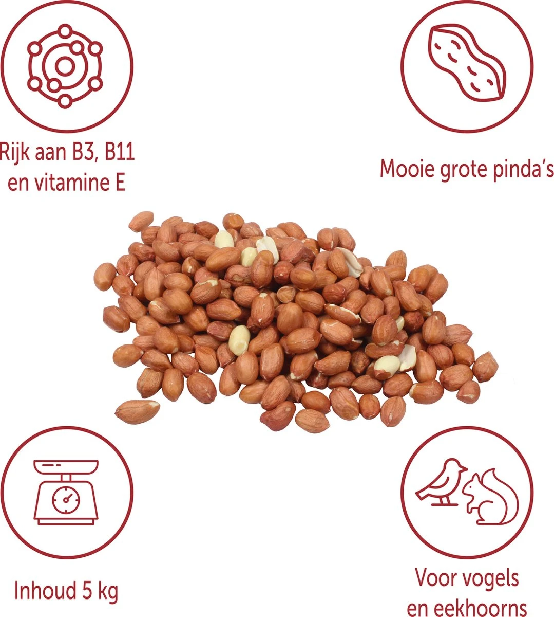 Topdiervoeding Gepelde Pinda’s Voor Vogels - Vers - Vogel - Voer - 25kg. 5 Topdiervoeding Gepelde Pinda’s Voor Vogels - Vers - Vogel - Voer - 25kg. - Image 3