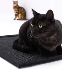 Petrebels Mastermat 80 Katten Krabmat - Zwart - 80 X 50 Cm - Zeer Sterk 16 Petrebels Mastermat 80 Katten Krabmat - Zwart - 80 X 50 Cm - Zeer Sterk -Huisdierbenodigdheden Korting 1086x1200 8