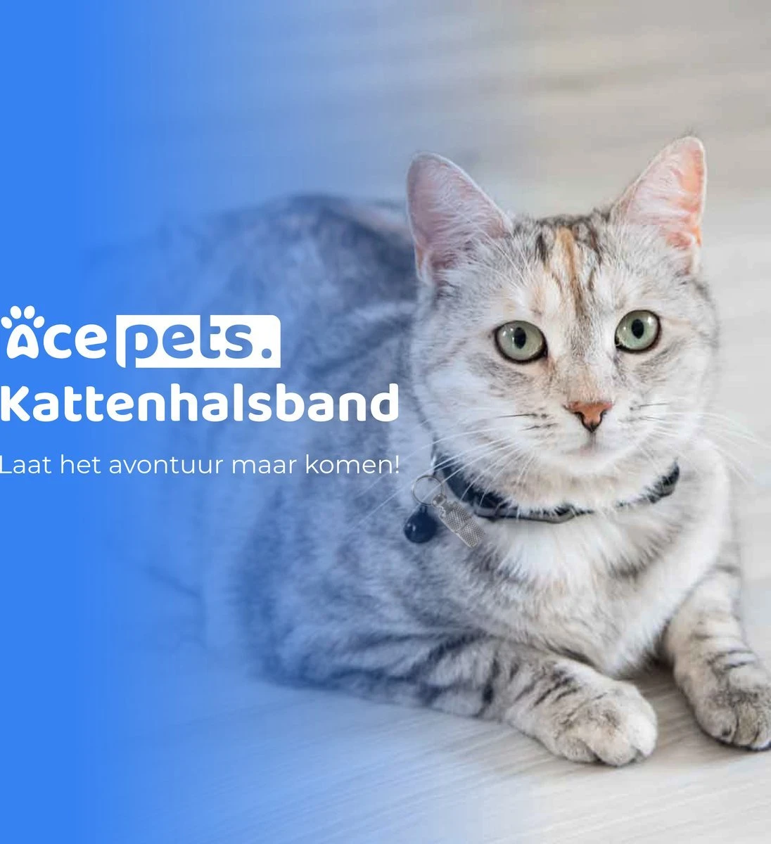 ACE Pets Reflecterende Kattenhalsband Met Veiligheidssluiting – Halsband Kat & Kitten - Met Adreskoker - Kittenhalsband & Kattenbandje Met Belletje - Geschikt Voor Apple Airtag - Zwart 11 ACE Pets Reflecterende Kattenhalsband Met Veiligheidssluiting – Halsband Kat & Kitten - Met Adreskoker - Kittenhalsband & Kattenbandje Met Belletje - Geschikt Voor Apple Airtag - Zwart - Image 9