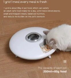 Automatische Voerbak Voor Hond En Kat - Voerautomaat Met 6 Compartimenten - 24 Uurs Timer - Elektrische Voederbak -Huisdierbenodigdheden Korting 1098x1200 3