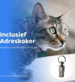 ACE Pets Reflecterende Kattenhalsband Met Veiligheidssluiting – Halsband Kat & Kitten - Met Adreskoker - Kittenhalsband & Kattenbandje Met Belletje - Zwart 18 ACE Pets Reflecterende Kattenhalsband Met Veiligheidssluiting – Halsband Kat & Kitten - Met Adreskoker - Kittenhalsband & Kattenbandje Met Belletje - Zwart -Huisdierbenodigdheden Korting 1099x1200 10