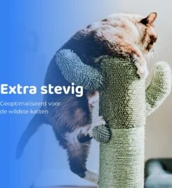 ACE Pets Reflecterende Kattenhalsband Met Veiligheidssluiting – Halsband Kat & Kitten - Met Adreskoker - Kittenhalsband & Kattenbandje Met Belletje - Zwart 15 ACE Pets Reflecterende Kattenhalsband Met Veiligheidssluiting – Halsband Kat & Kitten - Met Adreskoker - Kittenhalsband & Kattenbandje Met Belletje - Zwart -Huisdierbenodigdheden Korting 1099x1200 9