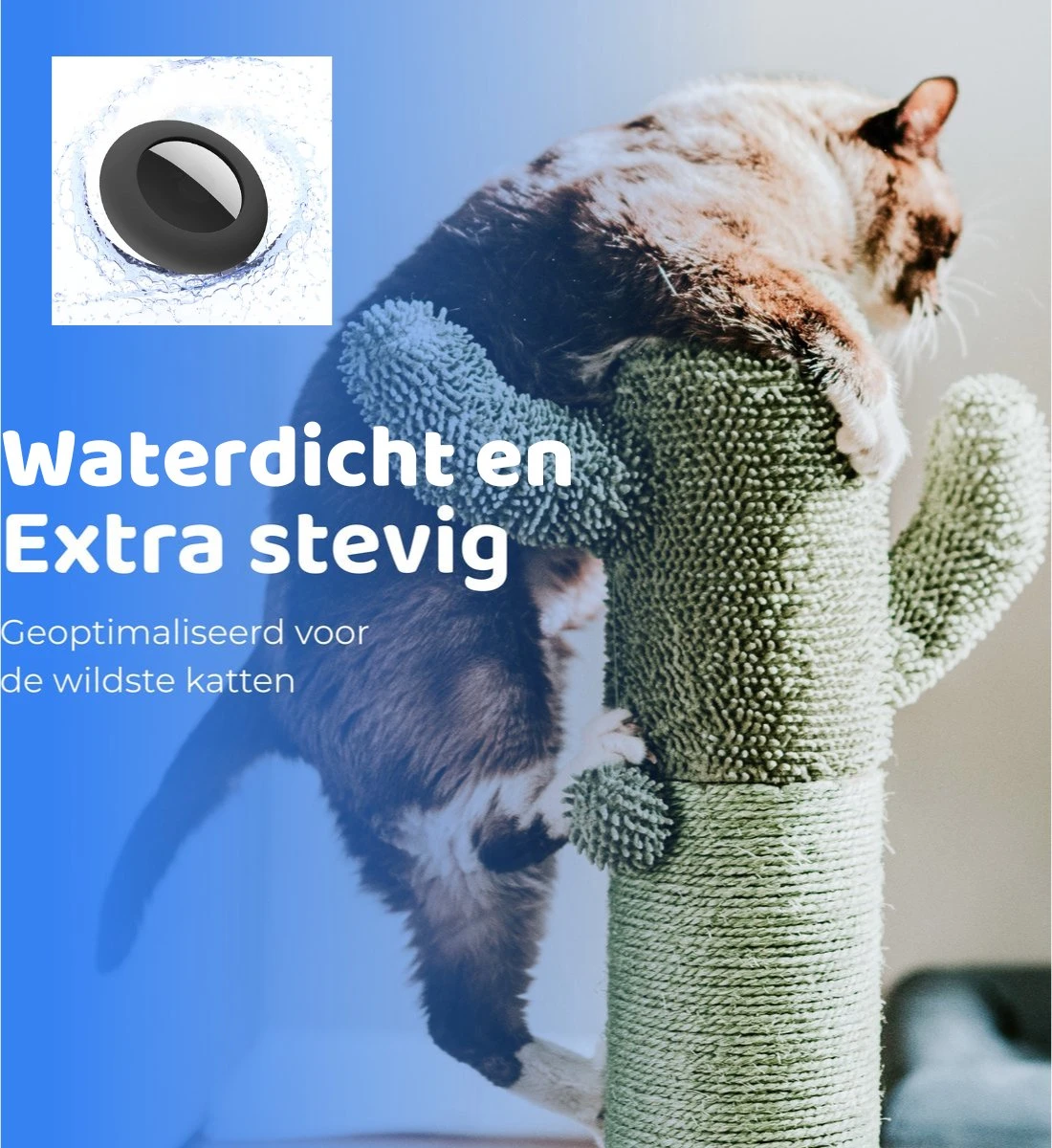 ACE Pets Reflecterende Kattenhalsband Met Veiligheidssluiting – Halsband Kat & Kitten - Met Adreskoker - Kittenhalsband & Kattenbandje Met Belletje - Geschikt Voor Apple Airtag - Zwart 12 ACE Pets Reflecterende Kattenhalsband Met Veiligheidssluiting – Halsband Kat & Kitten - Met Adreskoker - Kittenhalsband & Kattenbandje Met Belletje - Geschikt Voor Apple Airtag - Zwart - Image 10