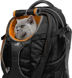 Hondenrugzak Voor Kleine Honden Met Diverse Opbergvakken - Voor Honden Tot 11 Kg - Kurgo G-train K9 - 33x53x25cm - Black -Huisdierbenodigdheden Korting 1101x1200