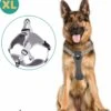 Mmoods Hondentuigje Grijs - Anti-Trek Tuig - Hondenharnas Voor Extra Grote Honden - Reflecterende Halsband Hond - Hondenhalsband Maat XL -Huisdierbenodigdheden Korting 1101x1200 3