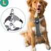 Mmoods Hondentuigje Grijs - Anti-Trek Tuig - Hondenharnas Voor Grote Honden- Reflecterende Halsband Hond - Hondenhalsband Maat L -Huisdierbenodigdheden Korting 1101x1200 4