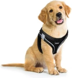 Topmast Airmesh Hondentuig - Click & Go - Turquoise - 3XS - Reflecterend - Harnas Hond - Hondentuigje - Hondenharnas - Voor Puppy, Kleine, Medium En Grote Hond -Huisdierbenodigdheden Korting 1104x1200 5