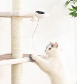 Merkloos Kattenspeelgoed - Katten Speelgoed - Katten Speeltje - Katten Bal - Katten - Kattenhengel - Kitten Speelgoed - Kattenspeeltjes - Elektrische - Muis - Automatische Hengel - Bal - Poes - Katten - Prooi - Kat - Poesjes - Interactief Kattenspeelgoed -Huisdierbenodigdheden Korting 1105x1200 14