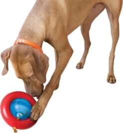 Kong-hondenspeelgoed-slowfeeder-voerdispenser- Gyro- Maat L -Huisdierbenodigdheden Korting 1105x1200 8