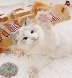 GIZMO Luxe Kattenspeeltjes Set - 7 Speeltjes - Interactieve Kattenhengel, Kattenspeelgoed & Speelmuisjes - Kitten Speeltjes -Huisdierbenodigdheden Korting 1108x1200 7