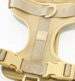 Pood Anti-Trek Hondentuig - Verstelbaar Stijlvol Hondenharnas - Y Tuig - XS Kleine Hond - Beige 10 Pood Anti-Trek Hondentuig - Verstelbaar Stijlvol Hondenharnas - Y Tuig - XS Kleine Hond - Beige -Huisdierbenodigdheden Korting 1118x1200 8