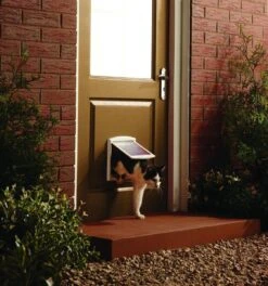 Petsafe 700 Kattenluik - S - Wit - 18.5 X 15.8 Cm -Huisdierbenodigdheden Korting 1122x1200 9