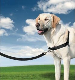 PetSafe Easy Walk® - Hondentuigje - Zwart - L - 66-91 Cm -Huisdierbenodigdheden Korting 1123x1200 5