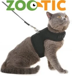 Kattentuigje Met Leiband Riem Kattenharnas Geel Maat M Kat & Kitten - Dieren Kattenriem - Cat Leash - Halsomvang 20 Tot 26cm - Borstomvang 30 Tot 34cm - Zootic® -Huisdierbenodigdheden Korting 1135x1200 10