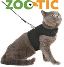 Zootic Kattentuigje Met Leiband Riem Kattenharnas Zwart Maat M Kat & Kitten - Halsomvang 20 Tot 26cm - Borstomvang 30 Tot 34cm -Huisdierbenodigdheden Korting 1135x1200 12