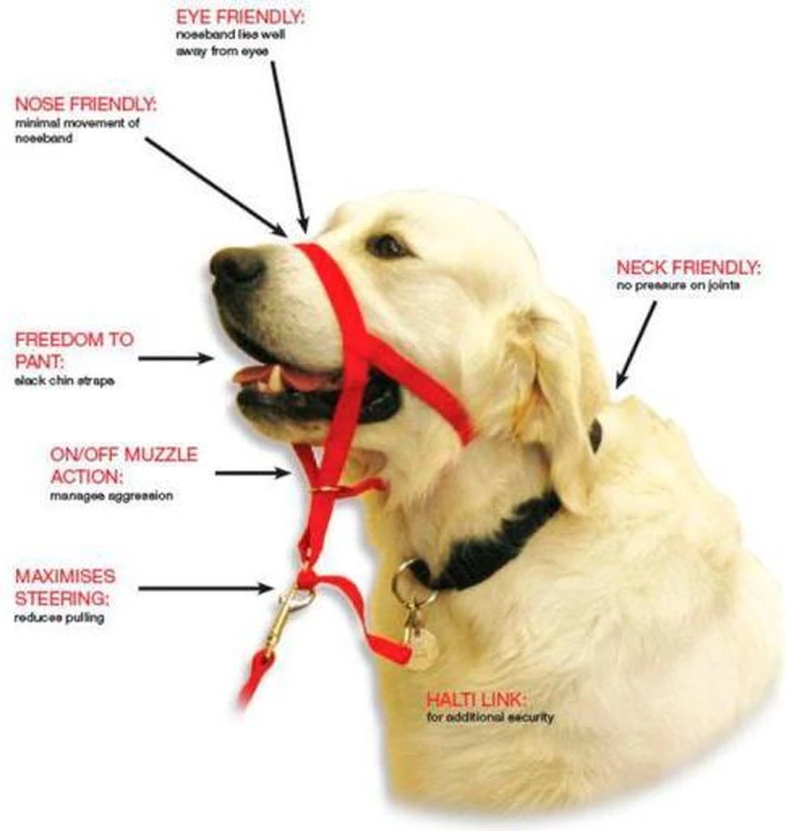 Halti Headcollar - Maat 2 4 Halti Headcollar - Maat 2 - Image 2