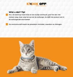 Knock Off Vlooien-tekenband – 100% Natuurlijke Vlooienbestrijding - Zonder Schadelijke Pesticiden Of Gif – Effectief Tot 4 Maanden – Nederlands- En Franstalige Handleiding – Regen- En Waterbestendig - Geschikt Voor Katten – 35 Cm -Huisdierbenodigdheden Korting 1139x1200 6
