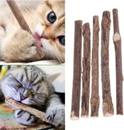 Matatabi Kauwstaafjes Voor Katten - 5x Matabi Stokjes - Kattenspeelgoed - 100% Natuurlijke Sticks - Plantaardig - Silver Vine Kauwstaven Voor Kittens - Kattenkruid Effect - Gebitsverzorging - 5 Stuks Vardaan Kauwstaven Voor Katten - XS - 11 Cm 13 Matatabi Kauwstaafjes Voor Katten - 5x Matabi Stokjes - Kattenspeelgoed - 100% Natuurlijke Sticks - Plantaardig - Silver Vine Kauwstaven Voor Kittens - Kattenkruid Effect - Gebitsverzorging - 5 Stuks Vardaan Kauwstaven Voor Katten - XS - 11 Cm -Huisdierbenodigdheden Korting 1143x1200 10