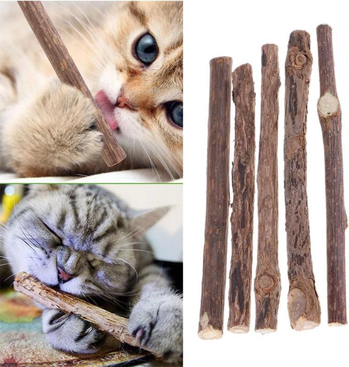 Matatabi Kauwstaafjes Voor Katten - 5x Matabi Stokjes - Kattenspeelgoed - 100% Natuurlijke Sticks - Plantaardig - Silver Vine Kauwstaven Voor Kittens - Kattenkruid Effect - Gebitsverzorging - 5 Stuks Vardaan Kauwstaven Voor Katten - XS - 11 Cm 8 Matatabi Kauwstaafjes Voor Katten - 5x Matabi Stokjes - Kattenspeelgoed - 100% Natuurlijke Sticks - Plantaardig - Silver Vine Kauwstaven Voor Kittens - Kattenkruid Effect - Gebitsverzorging - 5 Stuks Vardaan Kauwstaven Voor Katten - XS - 11 Cm - Image 6