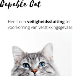 Capable Cat Vlooienband Kat | Vlooien | Luizen | Teken | Mijten | 8 Maanden Bescherming | Katten 12 Capable Cat Vlooienband Kat | Vlooien | Luizen | Teken | Mijten | 8 Maanden Bescherming | Katten -Huisdierbenodigdheden Korting 1143x1200 8