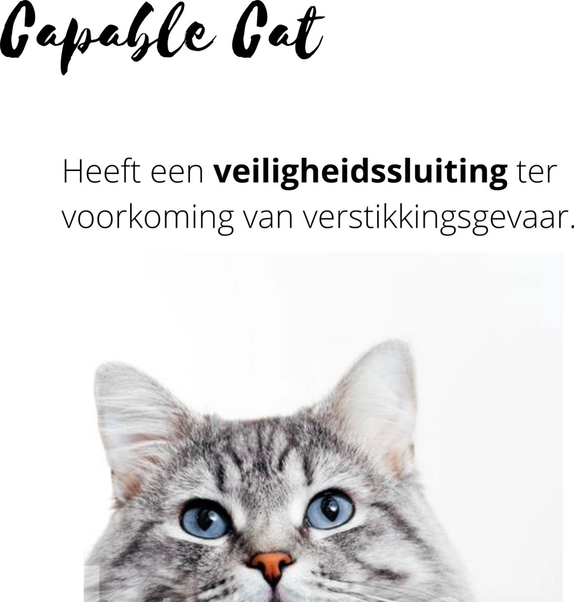 Capable Cat Vlooienband Kat | Vlooien | Luizen | Teken | Mijten | 8 Maanden Bescherming | Katten 6 Capable Cat Vlooienband Kat | Vlooien | Luizen | Teken | Mijten | 8 Maanden Bescherming | Katten - Image 4