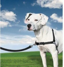 PetSafe Easy Walk® - Hondentuigje - Zwart - L - 66-91 Cm -Huisdierbenodigdheden Korting 1145x1200 5